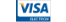 VISA Electron Logo VISA Electron